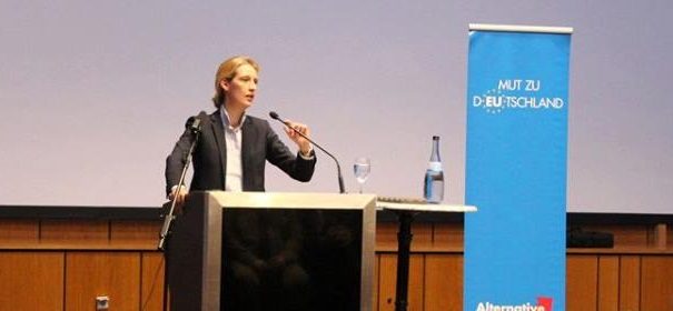 AfD-Spitzenfrau Weidel fordert Korrekturen im Umgang mit dem Islam