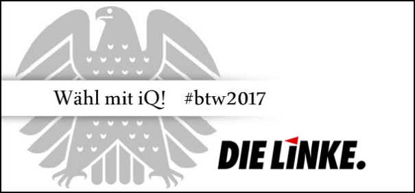 Banner iQ-Wahlprüfstein - Die LINKE © IQ