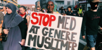Demo Dänemark Burkaverbot