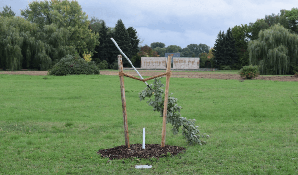 NSU, Zwickau, Simsek, Mahnmal