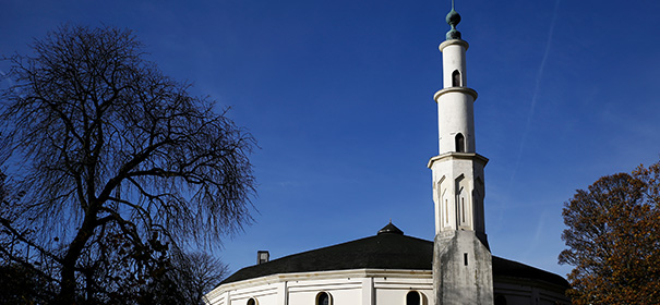 Große Moschee in Belgien © Shutterstock, bearbeitet by IslamiQ.