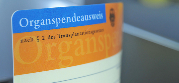 Symbolbild: Organspende © Shutterstock, bearbeitet by iQ