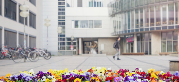 Symbolbild Universität Jena © shutterstock, bearbeitet by iQ