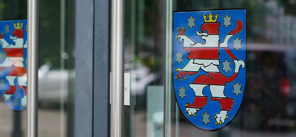 Thüringen, AfD, Wahlen