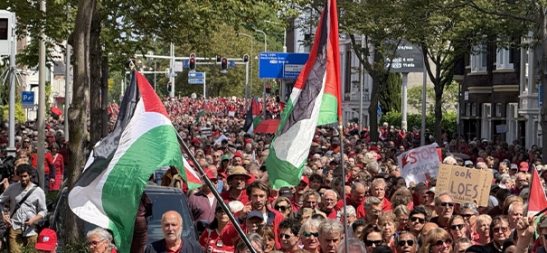Pro-Palestina Demo Den Haag