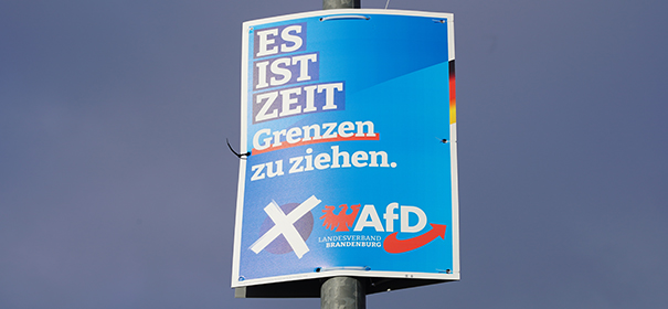 AfD in Brandenburg