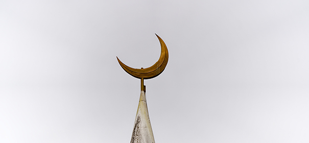 Moschee in der Schweiz © shutterstock, bearbeitet by iQ.